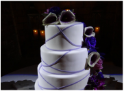 Wedding cake downlighting by Rockin' Robin Djs
